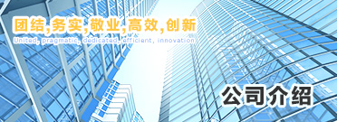 企業(yè)簡(jiǎn)介